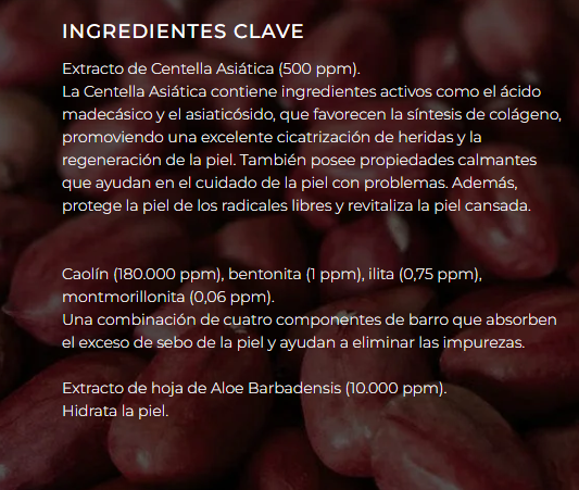 MASCARILLA POREMIZIN 2.png