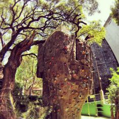 Equipo de la empresa